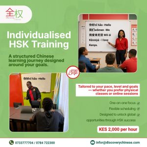 Individualised HSK Training